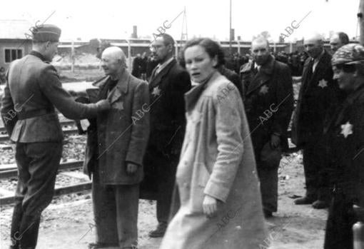 Auschwitz: campo de concentración en Polonia. Un médico nazi decidía en pocos segundos quién vivía y quién moría
